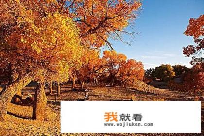 想去额济纳看胡杨林，怎么去比较方便？