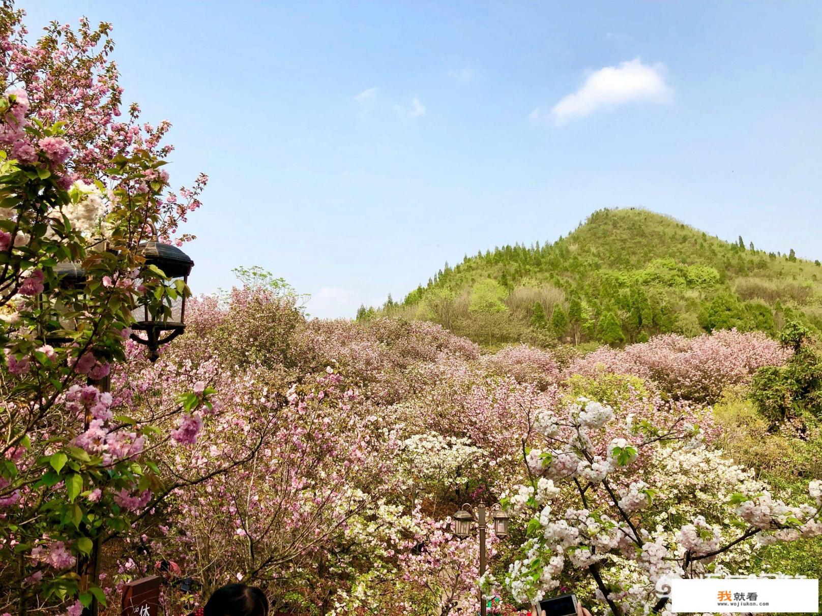 在你心目中4月份最美丽最适合旅游的城市是哪一座？