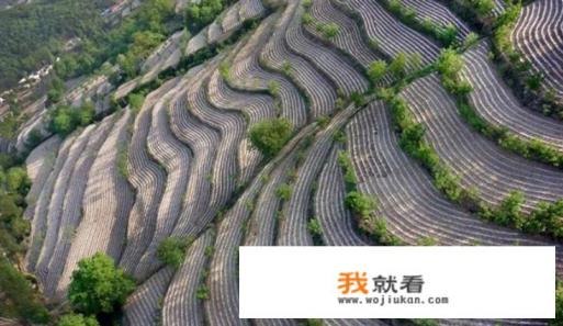 夏天到了！热的受不了，国内最适合避暑的城市是哪一座？