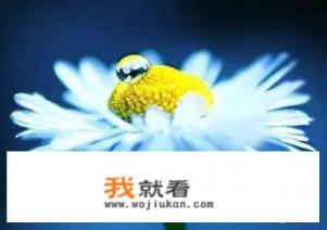 智联招聘有hr说我们对您之前的经历很感兴趣，只是系统推荐吗？