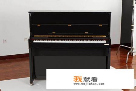 电钢琴和电子琴究竟有什么区别？