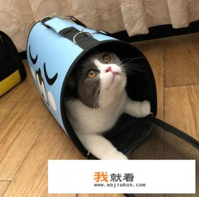 gucci手提包贵不贵？
