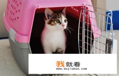 gucci手提包贵不贵？