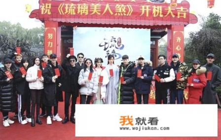 琉璃美人煞，要救的妖怪是什么啊?就是紫狐喜欢的那个？