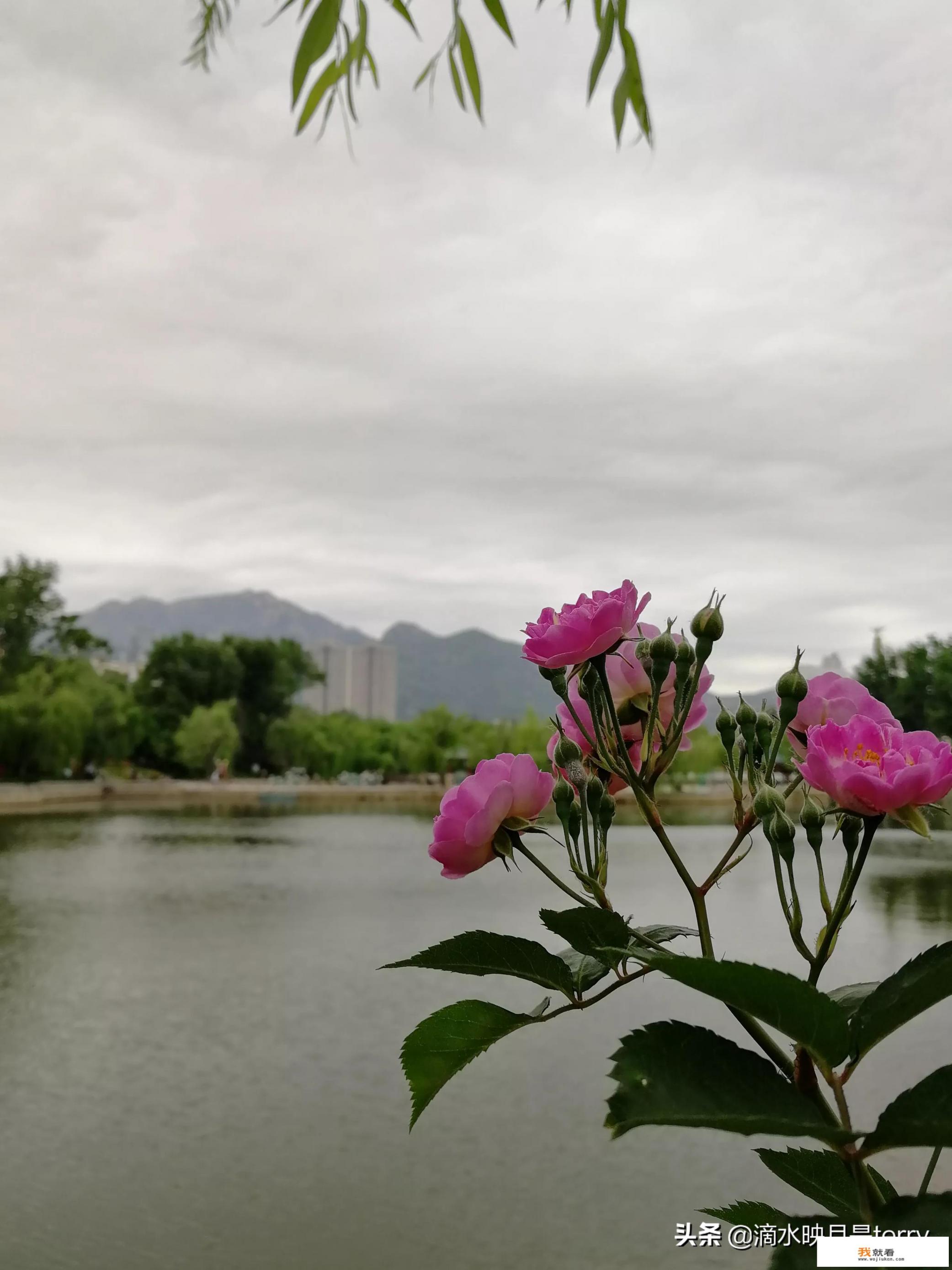 山东著名景点自驾游？