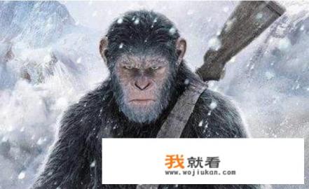 猩球崛起有几万只猩猩？