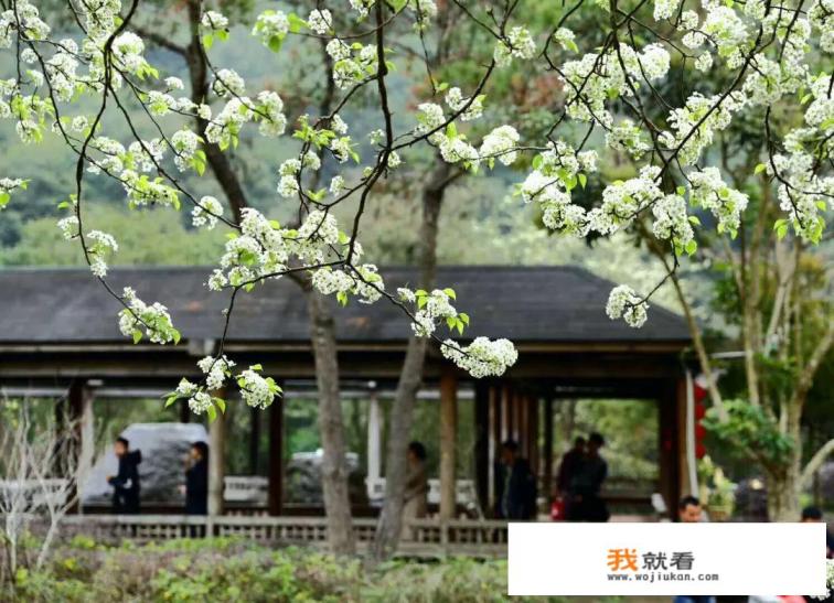 莆田仙游九鲤湖现在门票多少？
