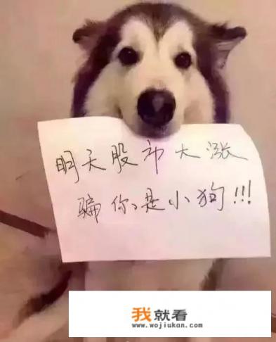 像同花顺、大智慧等提供免费炒股软件的公司靠什么盈利？