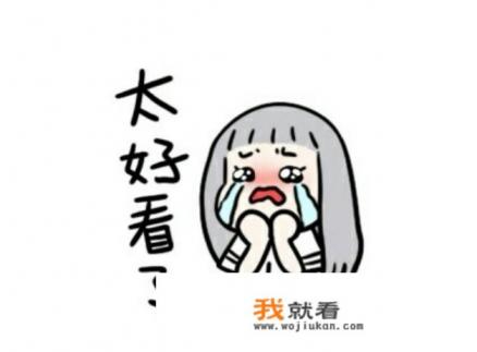 机动风暴百科？