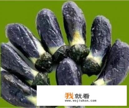 夏天吃茄子有什么好处和坏处？