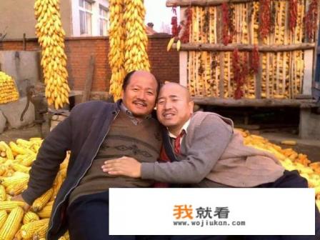 乡村爱情共有几部？