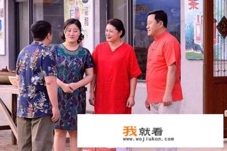 乡村爱情共有几部？