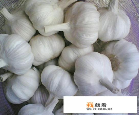 大蒜种植技术和管理方法？