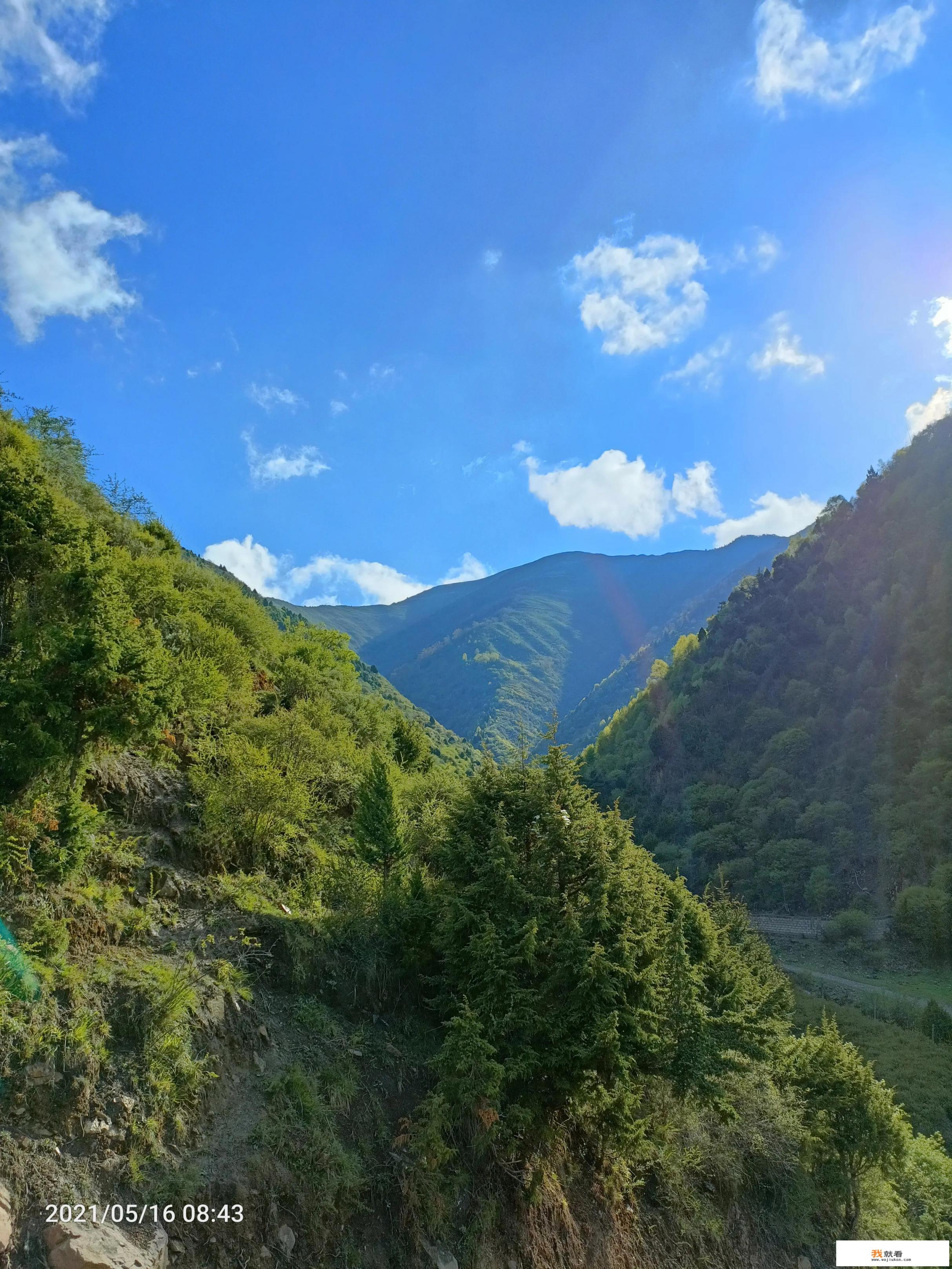 退休了，春天来了，想去自驾游，从山东出发有没有最佳路线?