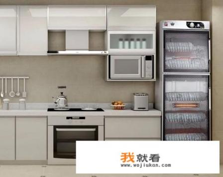家庭有没有必要装消毒柜？还有洗碗机，烤箱？