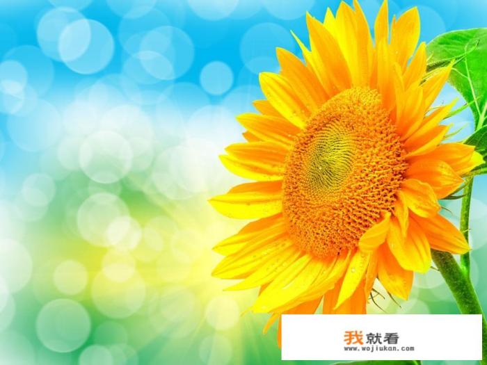 什么是JPG格式的图片？