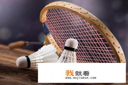 什么类型的羽毛球拍好？