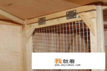 简易鸽笼怎么做？