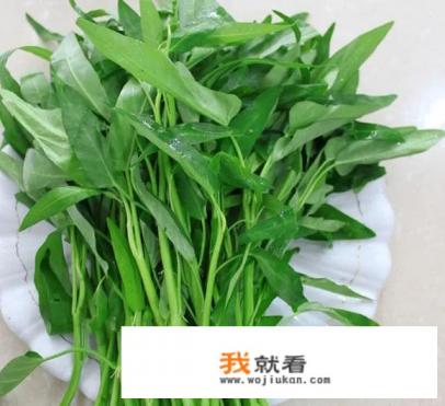 夏天长的蔬菜有哪些？