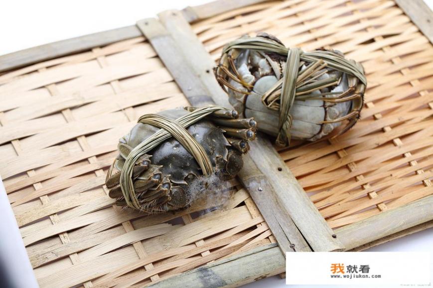 阳澄湖大闸蟹公的母的哪个好吃？