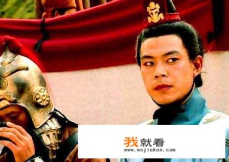 三国刘封是主角的小说？