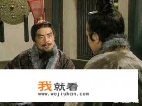 三国刘封是主角的小说？