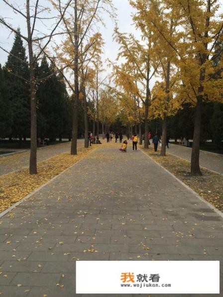 好久没出去旅行了，去哪个城市好呢？