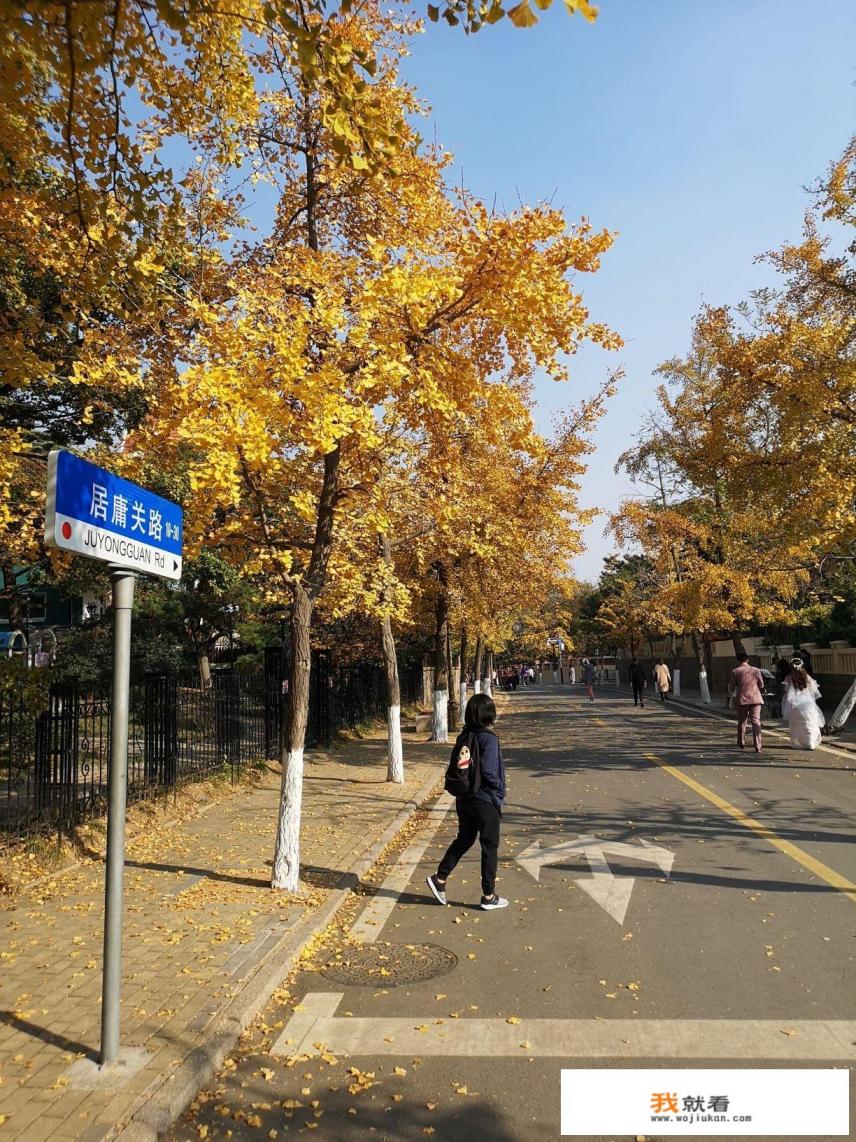 好久没出去旅行了，去哪个城市好呢？