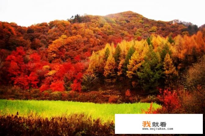 最近想出去走走，有合适的旅游地点推荐吗？
