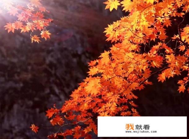 最近想出去走走，有合适的旅游地点推荐吗？