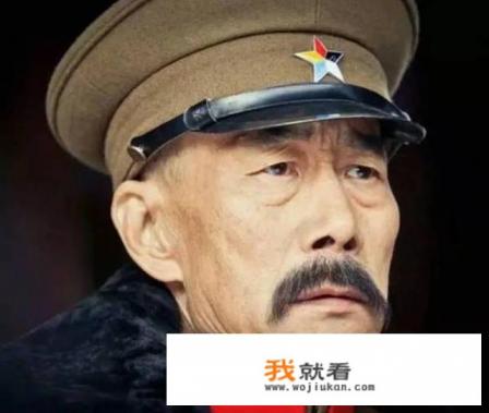 你怎么评价《少帅》电视剧？