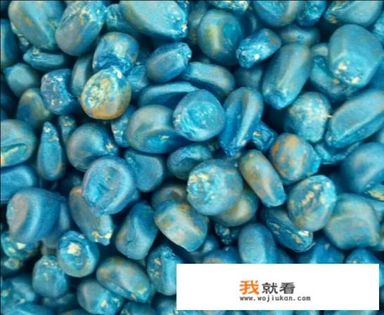 隆禧119玉米种多少钱一包？
