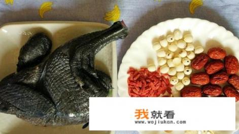 炖乌鸡汤的家常做法？