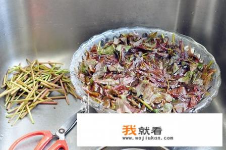 香椿炒鸡蛋你觉得好吃吗？