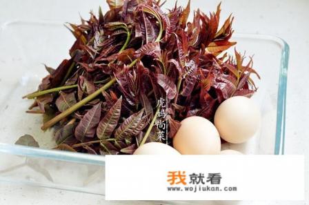 香椿炒鸡蛋你觉得好吃吗？