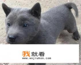 信阳吃米饭还是面条？