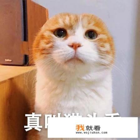 《雄兵连之诸天降临》的剧情将怎样发展？