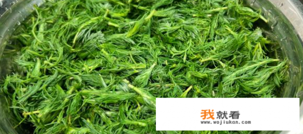 茵陈蒸菜的家常做法？