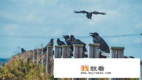 日本旅游，除了常规的东京、大阪一条线外，还有哪些地方值得去？