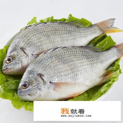 顺德香煎黄脚立鱼做法？