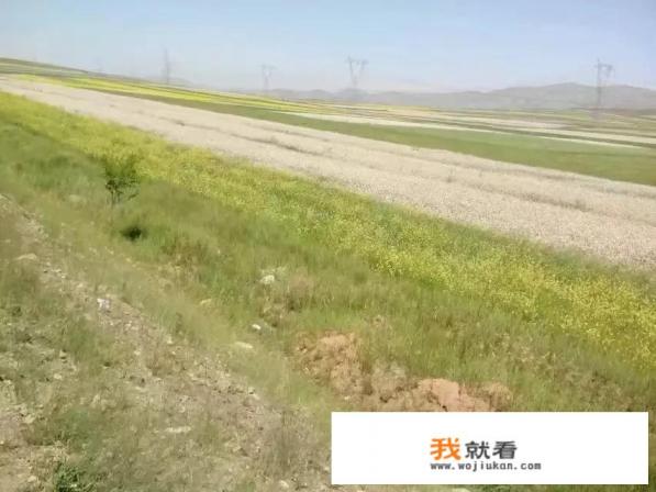 二连浩特所属省份，接壤哪个国家？