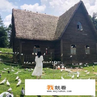 重庆武隆县有什么旅游的景点？门票多少钱？