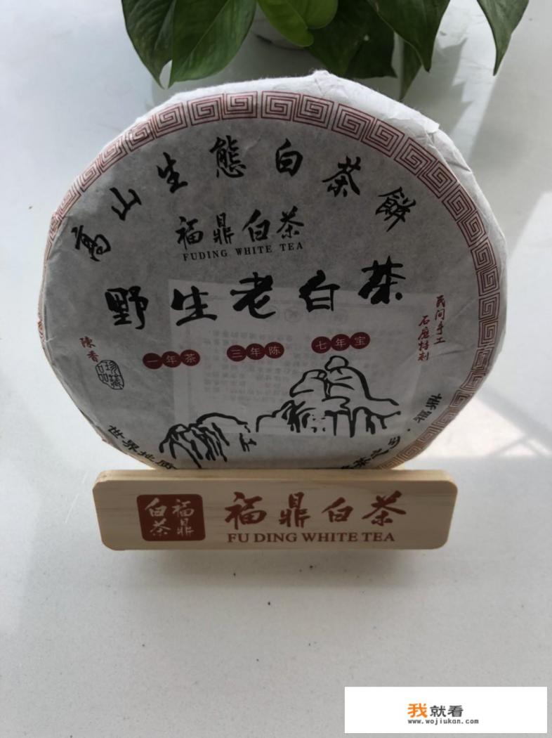 老白茶有哪些功效?老白茶的味道怎么样? 老白茶有哪些功效?老白茶的味道怎么样?