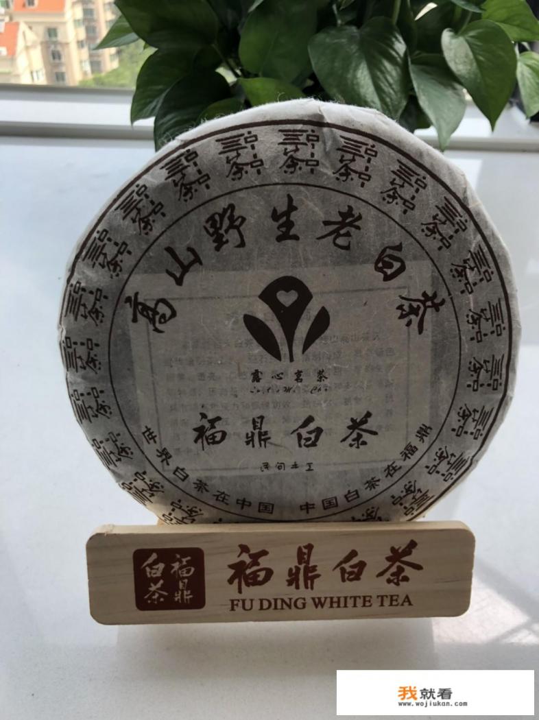 老白茶有哪些功效?老白茶的味道怎么样? 老白茶有哪些功效?老白茶的味道怎么样?