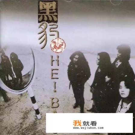 黑豹乐队的成员是谁？