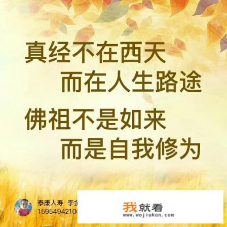 权力的游戏百花骑士姐姐？