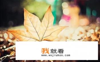 想在西安咸阳附近找工作，什么网站上找工作比较可靠？