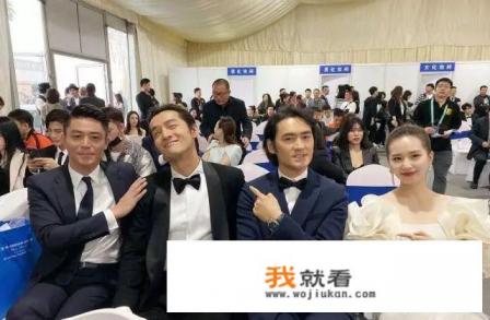 步步惊心皇上演员？