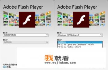 系统组件未能正常，请修复Adobe Flash Player？