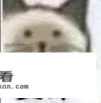 哪里有好用的免费简历模板App下载，或者好用的简历制作网站？